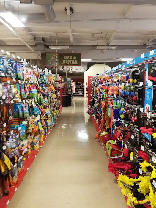 Petco Picture 10