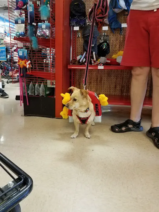 Petco Picture 3
