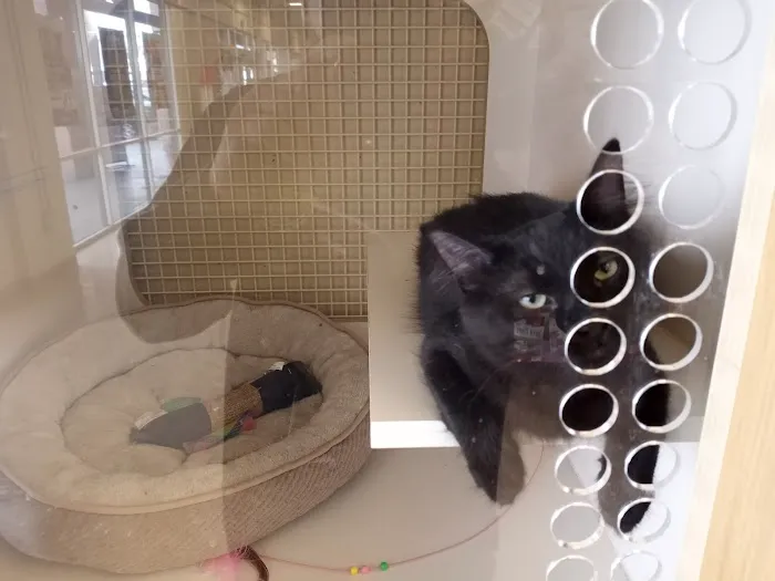 Petco Picture 5