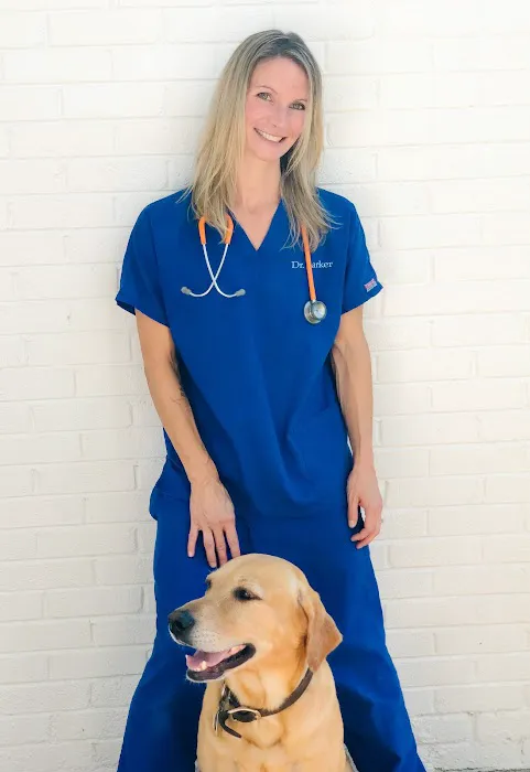 Great Paws Veterinary Hospital Picture 4