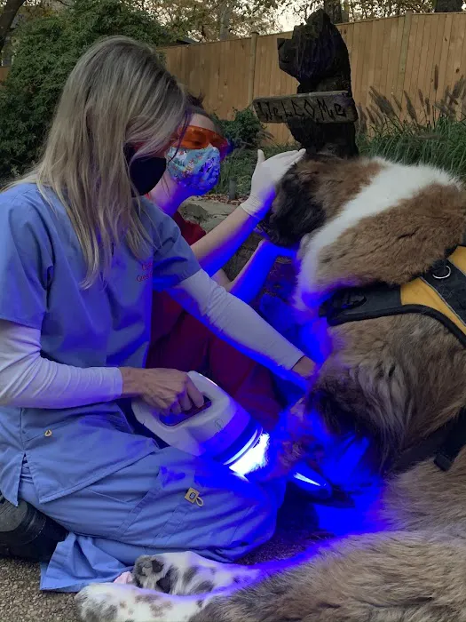 Great Paws Veterinary Hospital Picture 2