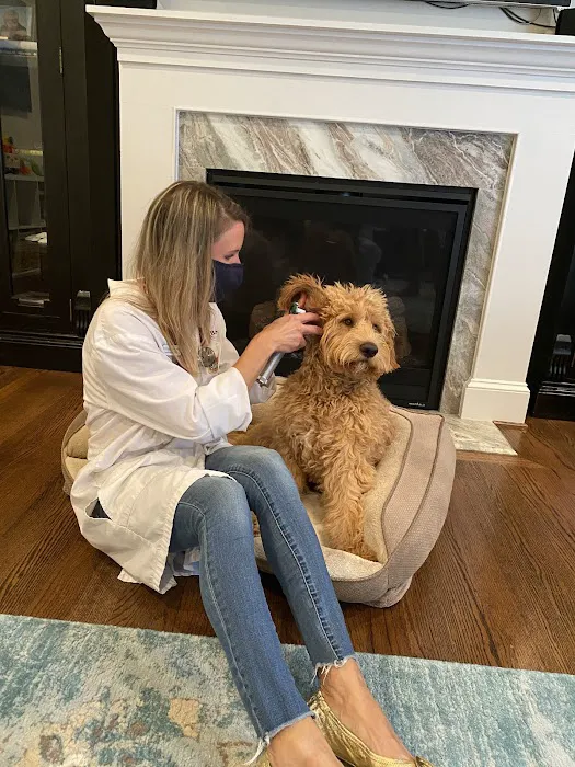 Great Paws Veterinary Hospital Picture 9