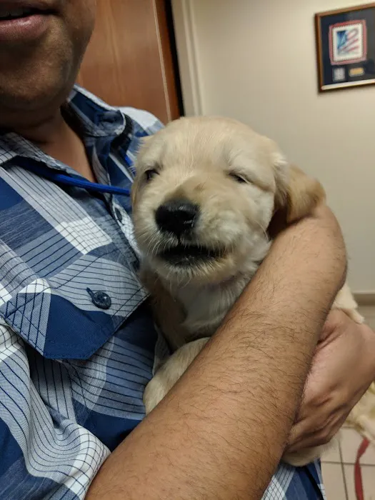 McLean Animal Hospital Picture 6