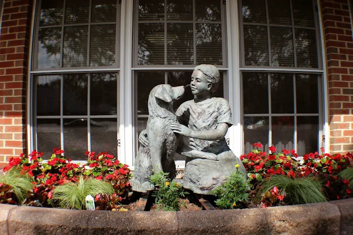 McLean Animal Hospital Picture 9