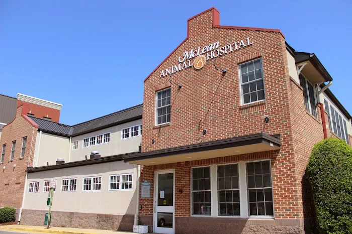 McLean Animal Hospital Picture 5