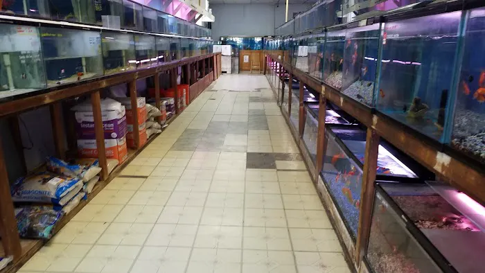 Tropical Fish Incorporated Picture 9