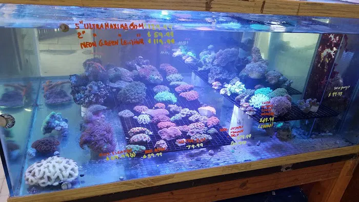Tropical Fish Incorporated Picture 7