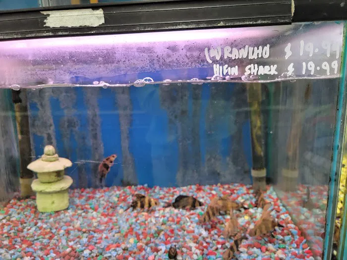 Tropical Fish Incorporated Picture 10