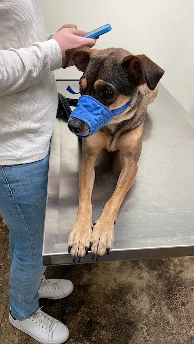Value Vet Picture 4