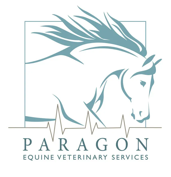 Paragon Equine Veterinary Services Picture 2