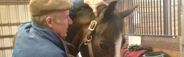 Middleburg Equine Clinic Inc Picture 1
