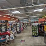 Unleashed by Petco