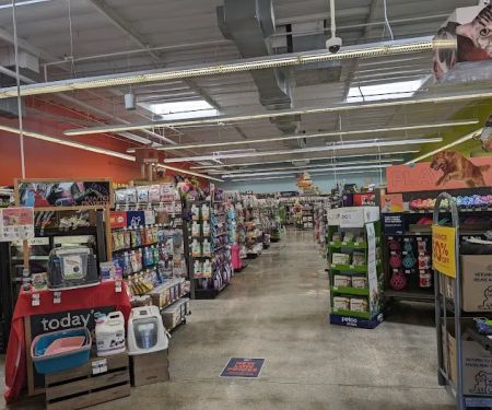 Unleashed by Petco
