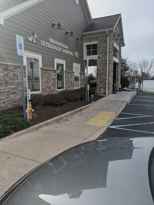 Shenandoah Veterinary Hospital Picture 7