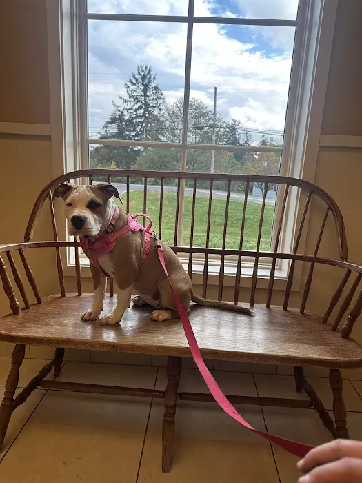 Shenandoah Veterinary Hospital Picture 8