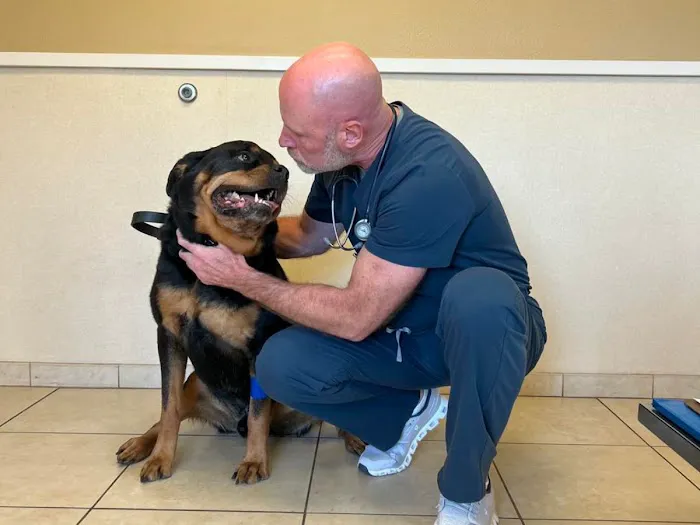 Shenandoah Veterinary Hospital Picture 10