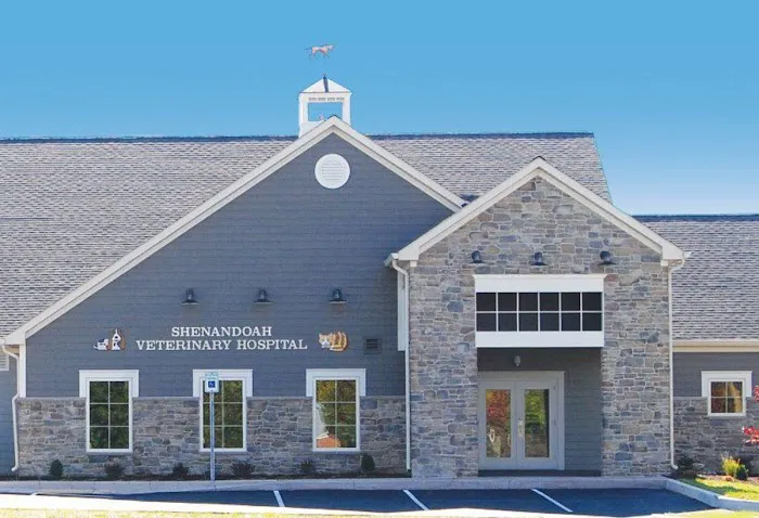 Shenandoah Veterinary Hospital Picture 3