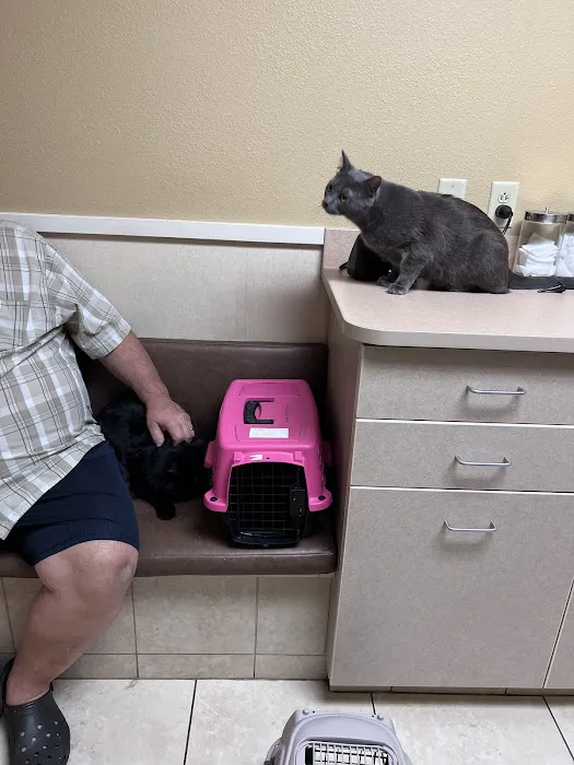 Shenandoah Veterinary Hospital Picture 4