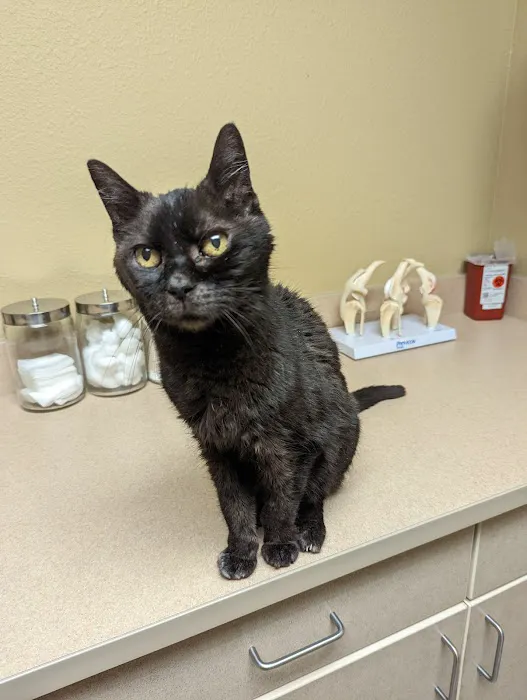 Shenandoah Veterinary Hospital Picture 5