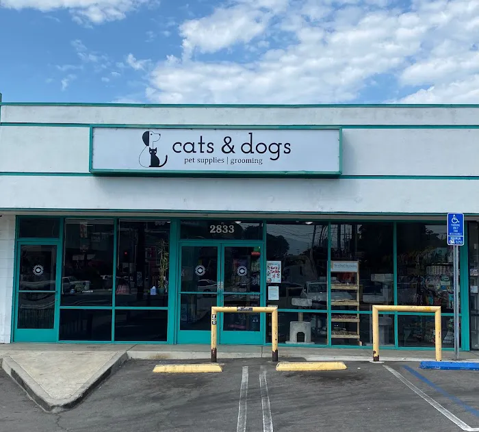 Cats & Dogs Picture 1