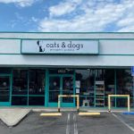 Cats & Dogs