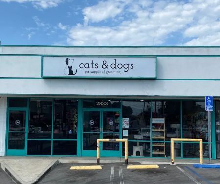 Cats & Dogs