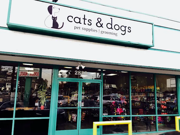 Cats & Dogs Picture 5