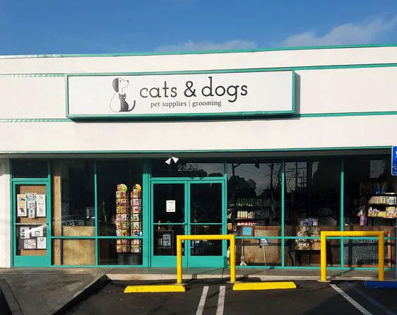 Cats & Dogs Picture 7
