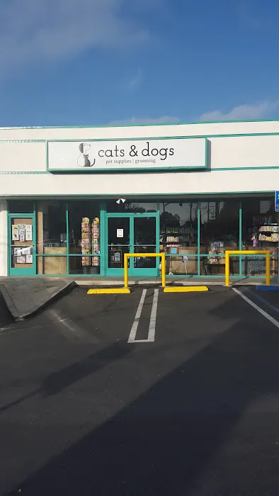 Cats & Dogs Picture 6