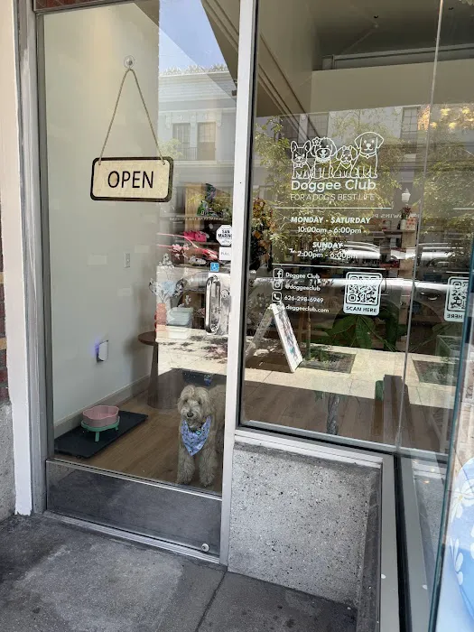 Doggee Club Picture 4