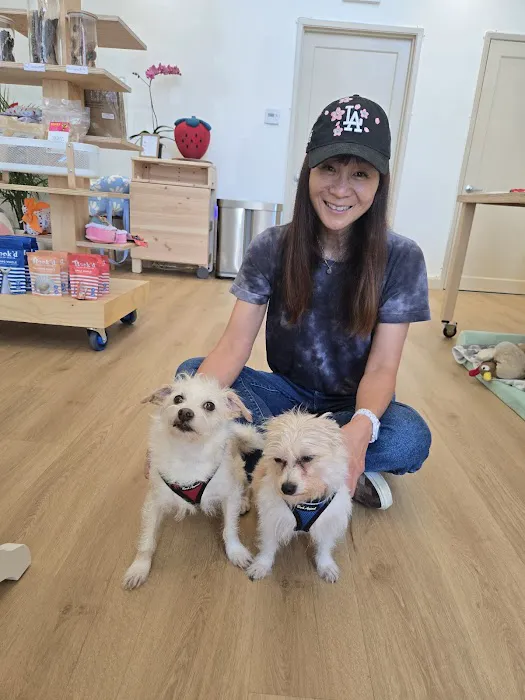 Doggee Club Picture 10