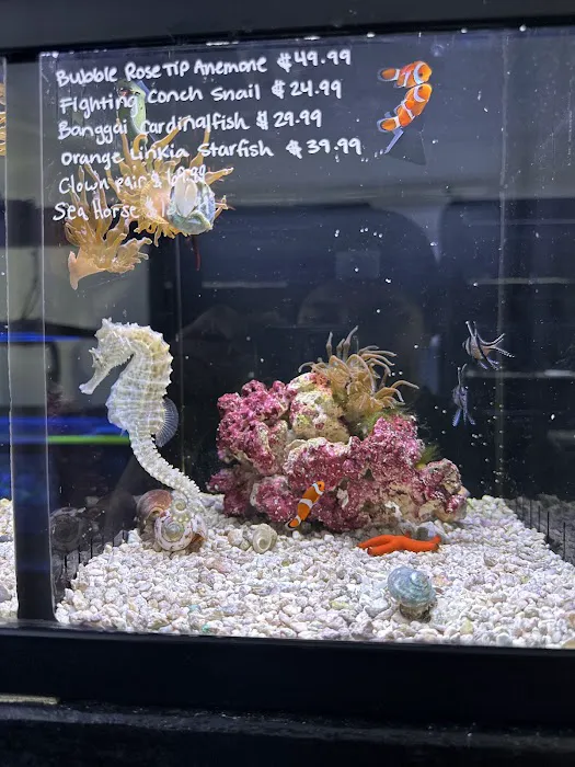 Art’s Underwater Reef Picture 4