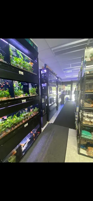 Art’s Underwater Reef Picture 1