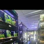 Art’s Underwater Reef