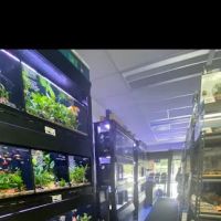 Art’s Underwater Reef ico