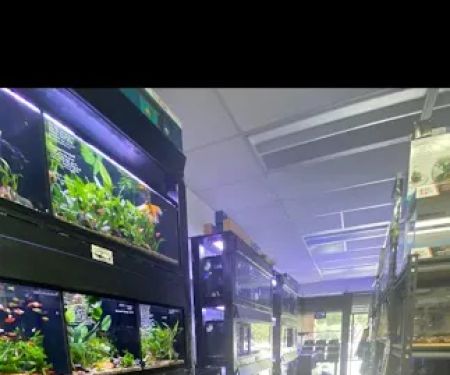 Art’s Underwater Reef