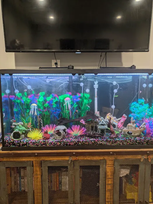 Art’s Underwater Reef Picture 7