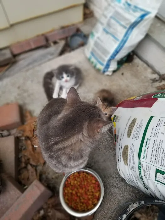 Inwood Animal Center Picture 8
