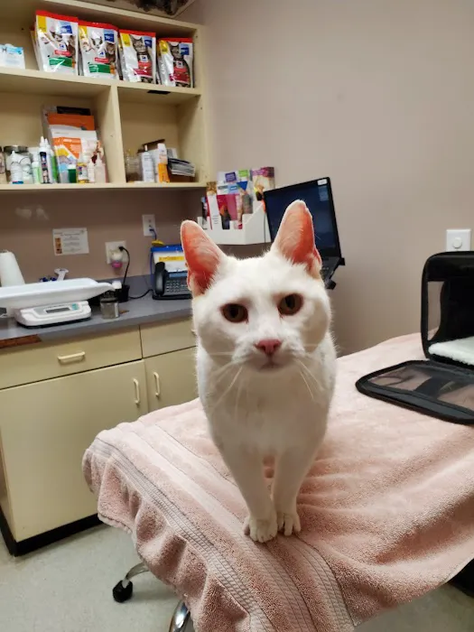 Inwood Animal Center Picture 2