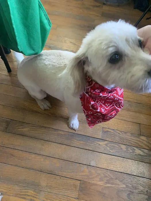 Inwood Animal Center Picture 4