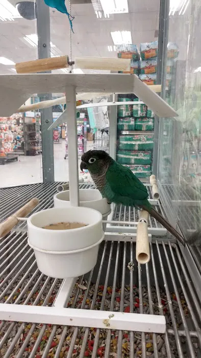 Petco Picture 4