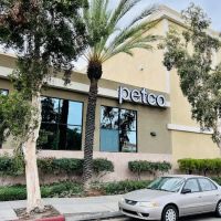 Petco ico