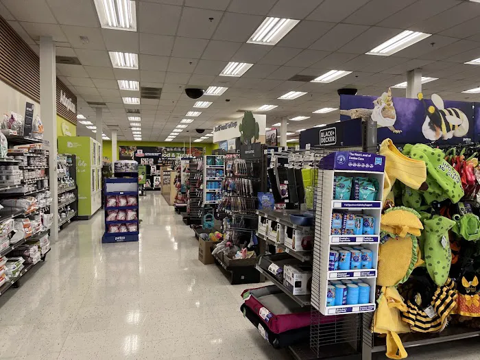 Petco Picture 7