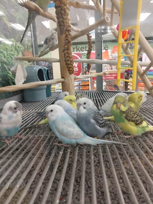 Petco Picture 6