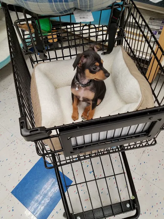 Petco Picture 3