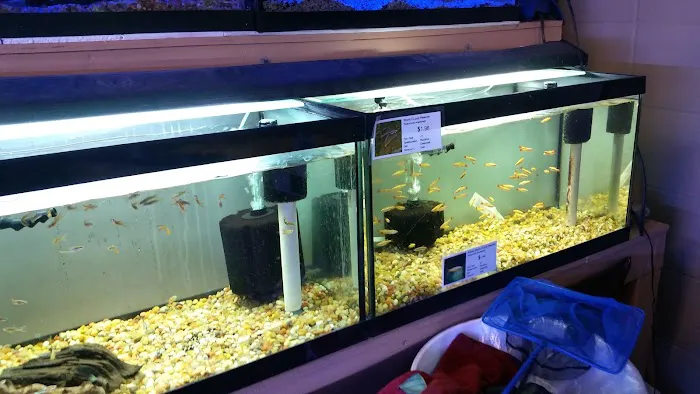 C K Fish World Picture 4