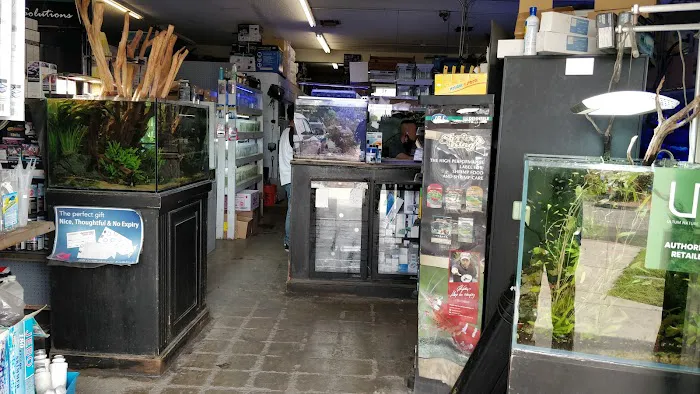 C K Fish World Picture 2