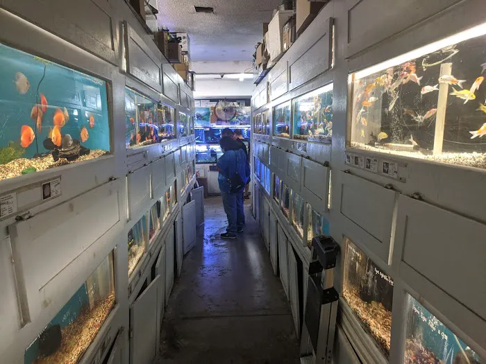 C K Fish World Picture 8