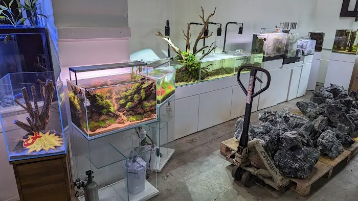 C K Fish World Picture 5