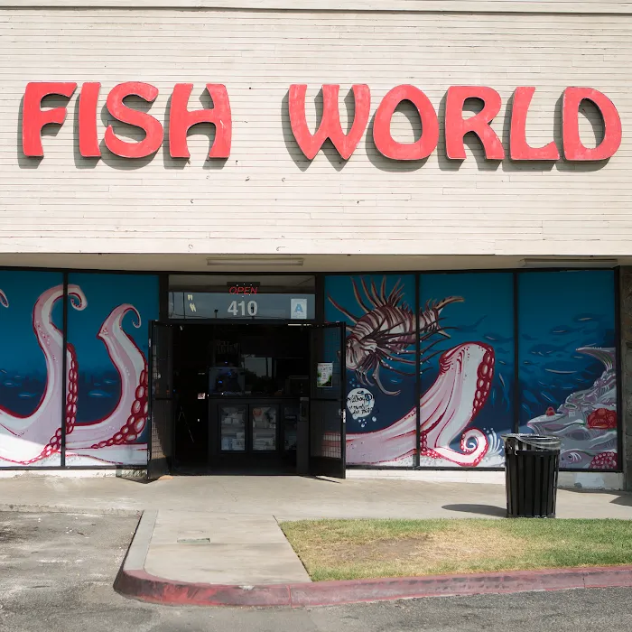 C K Fish World Picture 10